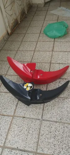 Paralamas