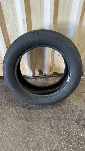Pneu 205/55R16 Dunlop