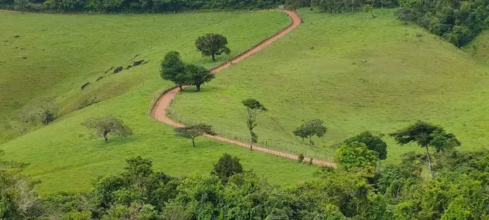 Linda fazenda em Chã Preta, 121 hectares, top