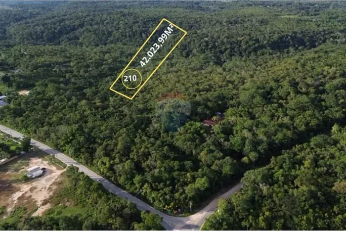 Terreno Comercial em Tarumã: Oportunidade Única!