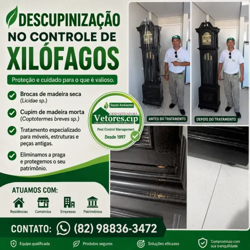 Dedetização geralt