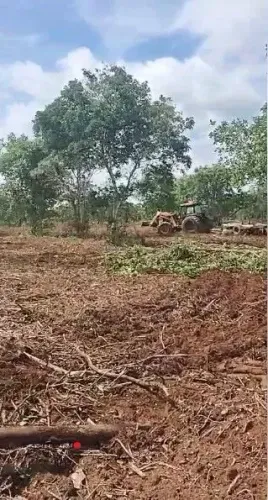 fazenda de 126 alqueires (302,4 Hectares) para dupla aptidão