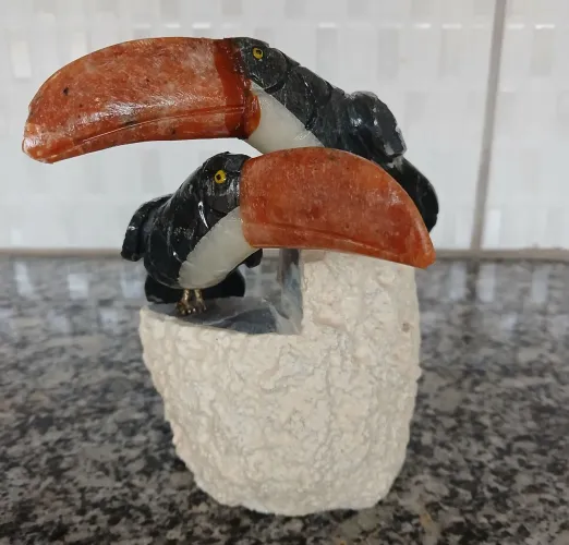 Vendo esse casal de tucanos.