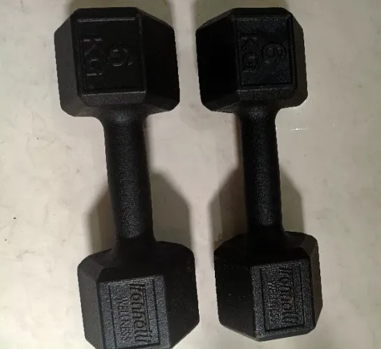 Par de Halteres 6 kg Cada - 12 kg Total - Ferro Sextavado