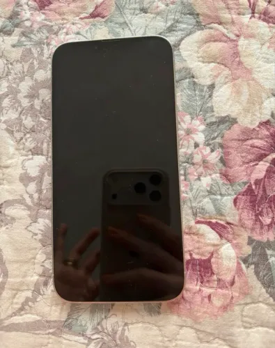 iPhone 13 Pro Max 256gb