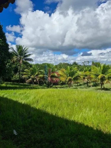 Vendo Fazenda na Area Rural de Ilhéus