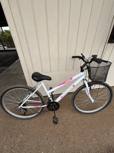 Bicicleta feminina