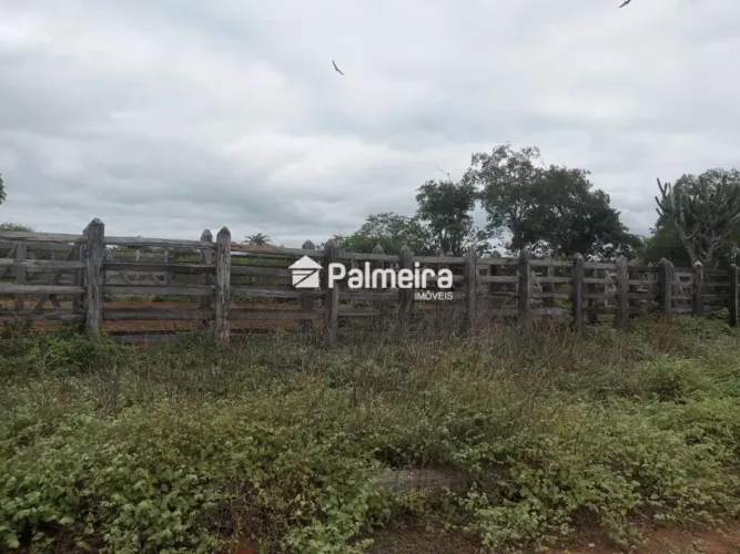 Vendo Fazenda Itararé em Itaberaba/BA