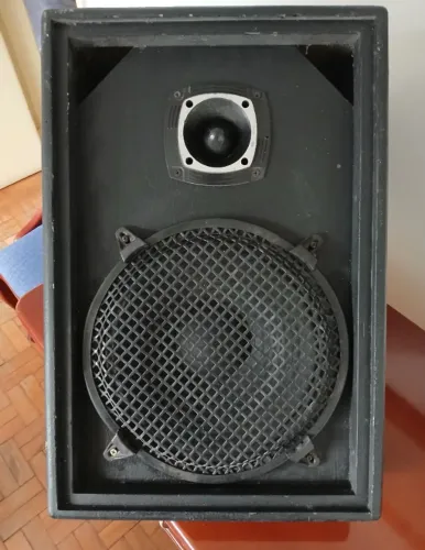 Caixa Retorno de palco 100W RMS