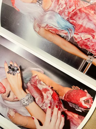 LADY GAGA - ÁLBUM - COLECIONADOR - Relíquia