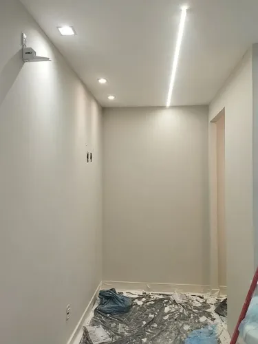 Pintor profissional