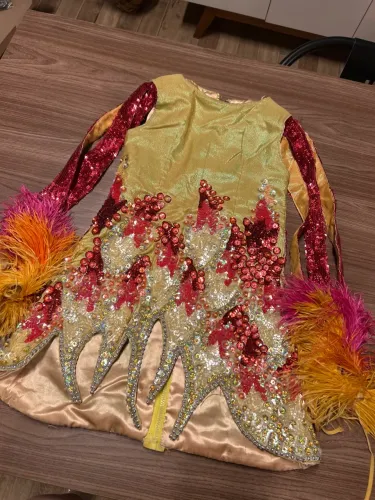 Fantasia Destaque Beija Flor