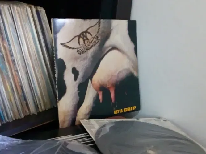 Aerosmith Get a Grip LP Disco de Vinil Duplo