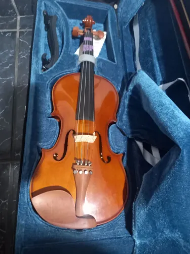 Vendo violino Eagle VE 441