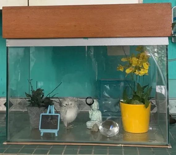 Terrário & Aquário Premium - Design Curvo com Acabamento em Madeira