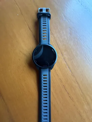 Garmin 165 basic