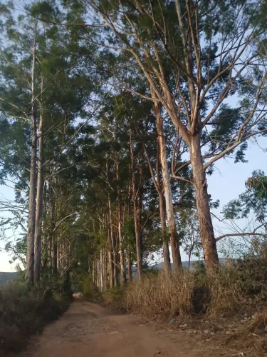 Terrenos na Raizama Pirenópolis