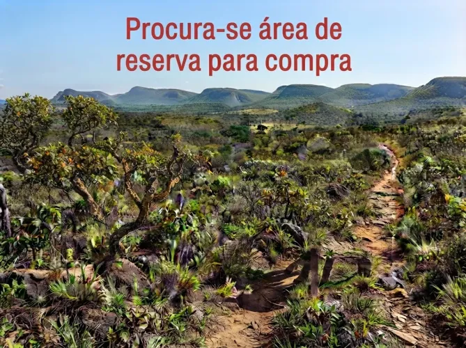 Compro Área de 1.600ha de Cerrado Nativo para Reserva Legal/Compensação