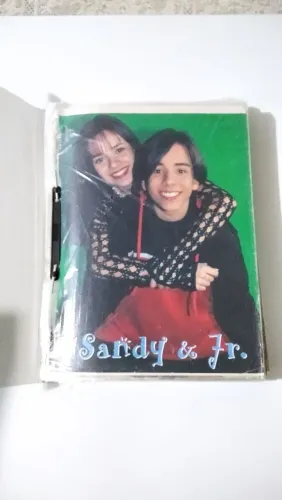 Pasta contendo 82 páginas de reportagens e recortes da dupla Sandy e Junior e + 3 pôsteres