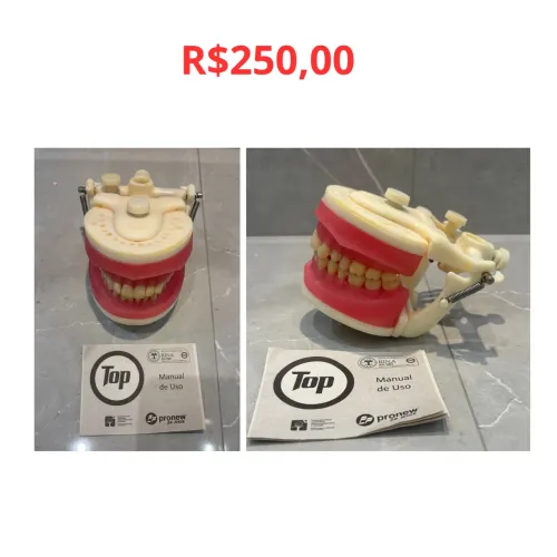 Vende-se macro modelo boca para estudo dentistica