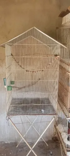 Gaiola com pé
