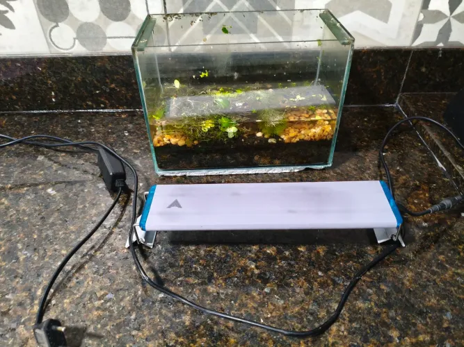 Aquário 5 Litros acompanha plantas, lâmpada e substrato