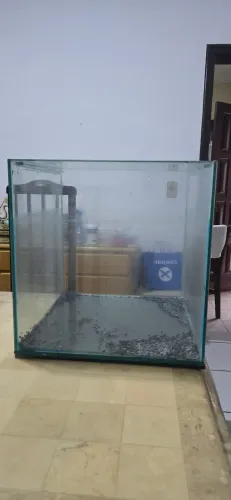 Aquário