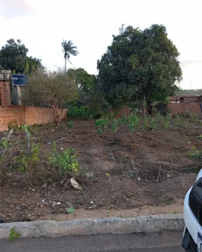 Terreno Pedro Regis