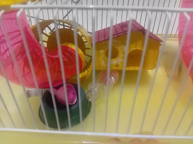 Gaiola de hamister completa
