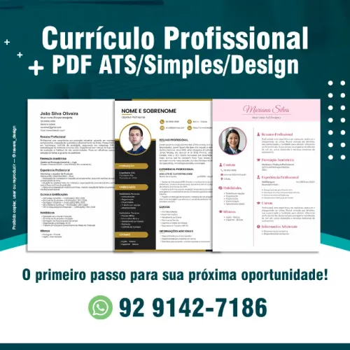 Currículo em PDF Profissional 
