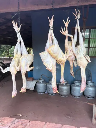 Frango caipira !!! 
