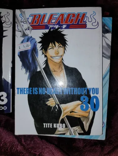 Manga Bleach Volume 30