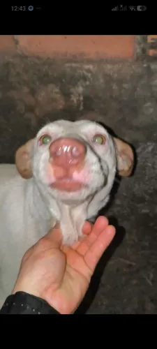 Doação 