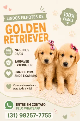 Golden Retriever