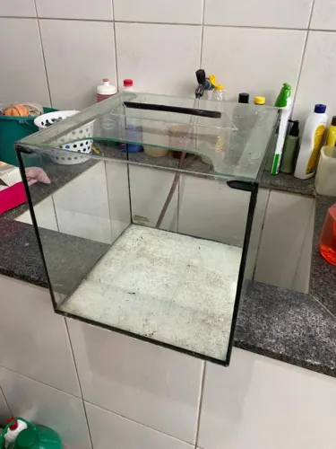 Aquario 40L completo + mini aquario para bettas