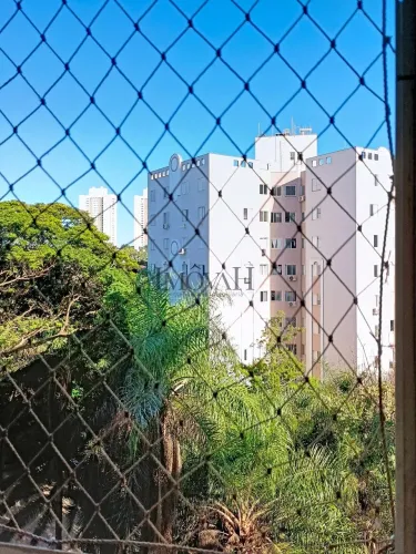 Apartamento na Gleba Palhano (Sol da Manhã) com 3 Quartos 2 banheiros - Quinta da Boa Vist