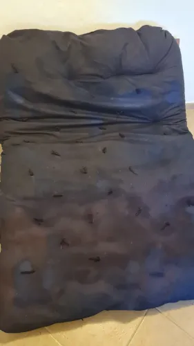 Sofa cama futon japonês