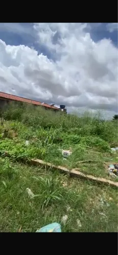 Terreno 6x25