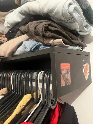 Cabideiro de parede ( arara de roupas ) 