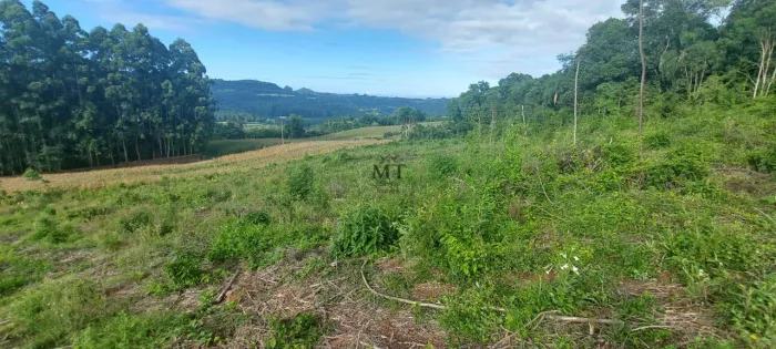 Área de terra bairro Quatro Cantos, Picada Café.RS REF: 493