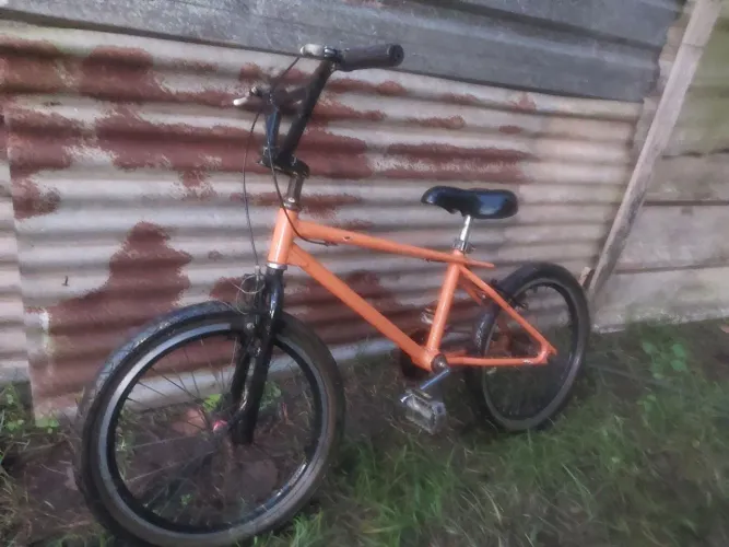 caloi freestyle