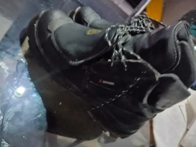 Bota