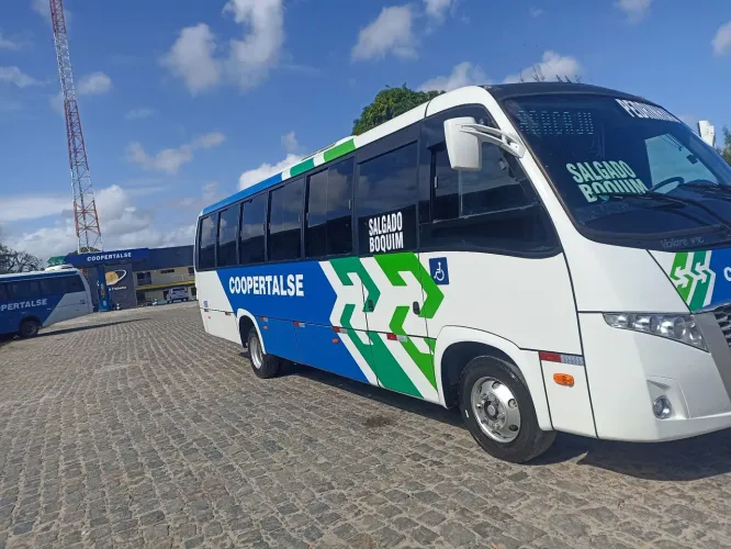 Fly 2017 completo 