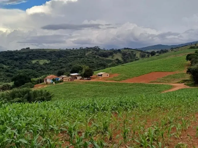 Fazenda à venda em Conceição do Rio Verde MG, 106 Alqueires de puro investimento e confort