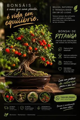 Vendas de bonsai