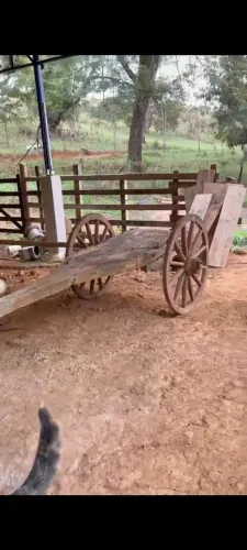 Carro de boi