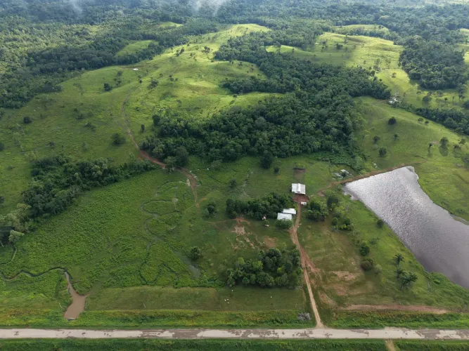 FAZENDA TOTALMENTE DOCUMENTADA À VENDA, EM FEIJÓ.