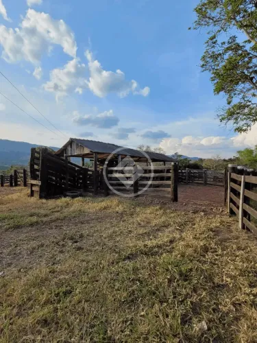Fazenda a venda município de Cáceres-MT R$ 7.000.000,00 codigo: 53527