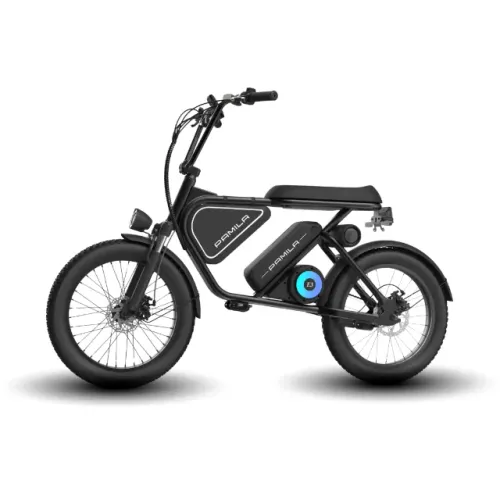 Bicicleta Elétrica Pamila E3 1000W 