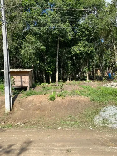 Terreno Alexandra 12x80